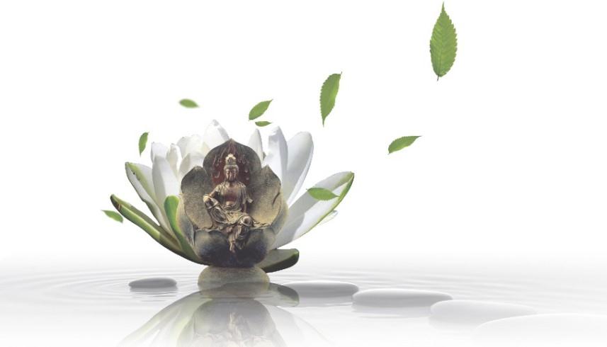 上海阿兵食品机械欢迎您！！！