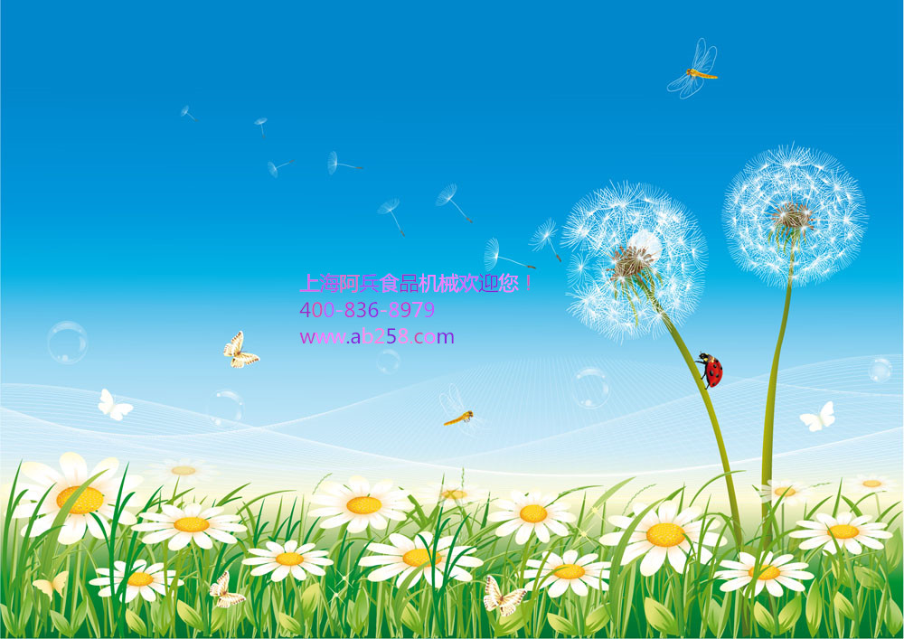 上海阿兵食品机械欢迎您！！！