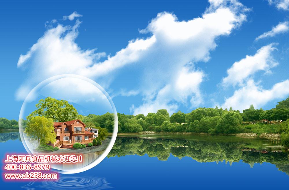 上海阿兵食品机械欢迎您！！！